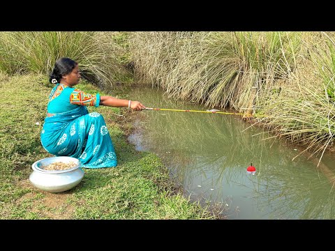 Fishing Video  || I would not have believed if I had not seen so many fish in the village canal 