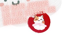 LES 5 CHATS JAPONAIS LES PLUS CÉLÈBRES DES INTERNETS 🐱