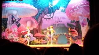 Ryan williamson dancing