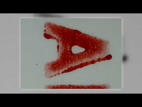 Almtour im Jahre 1965