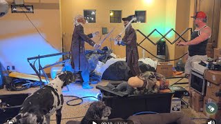 Pirate Sword Fight and More