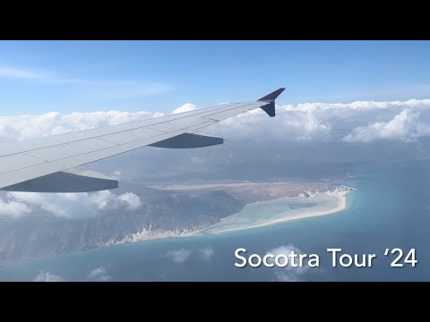 Socotra Tour ‘24 - Delisha Beach