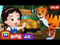 நாங்க காட்டுக்கு போறோம் Forest Wild Animals Song Tamil Rhy