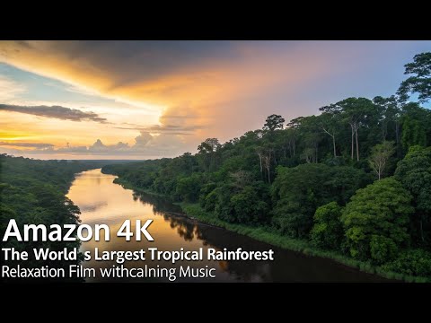Amazon 4K - The World’s Largest Tropical Rainforest | Relaxation Film with Calming Music"