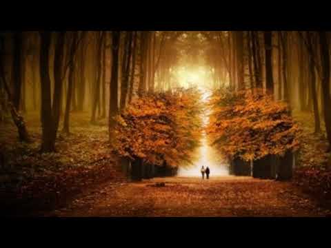 Knoflíky lásky - Iveta Bartošová,Petr Sepéši /cover/ Valika+Miroslav