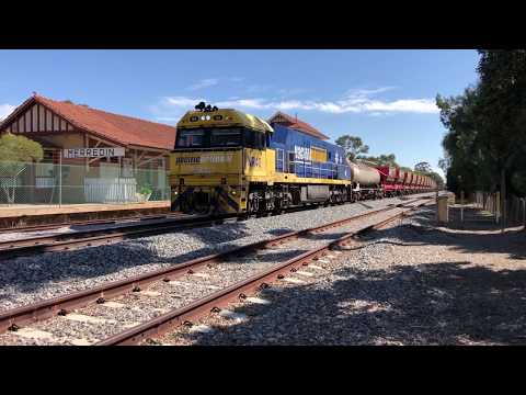 Eastbound Pacific National empty steel train at Merredin, Western Australia.