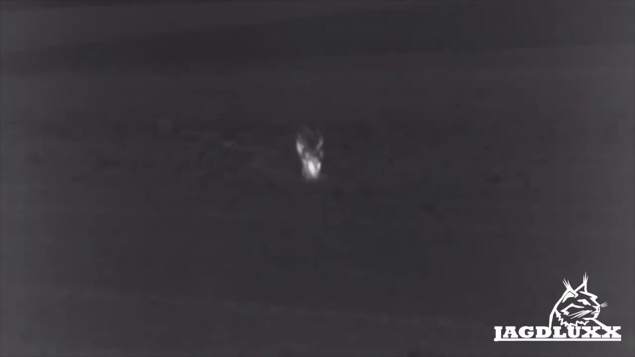 Jagdluxx unterwegs mit der Pulsar Helion XP38