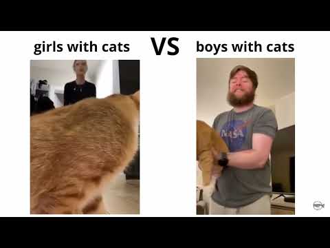 Girls with cats vs Boys with cats 😂😂