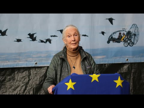 Jane Goodall in Kuchl