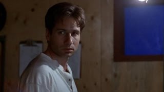 The X-Files: The Truth About Season 1 (Documentary)