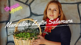 BİR ZEYTİN BU KADAR MI LEZZETLİ OLUR / SALAMURA KIRMA MANZALİNA ZEYTİN TARİFİ