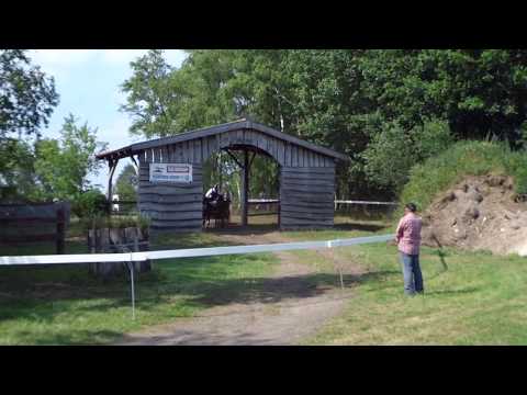 Fahrturnier Neu Versen 23.6.2019