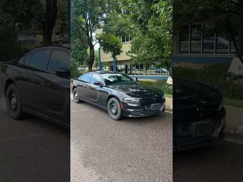 Secret Police Car Features 🤫