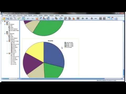 Marketing 377 - How to Use SPSS (Part 1)