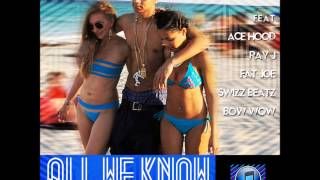 DJ ABSOLUT FEAT ACE HOOD, RAYJ, FATJOE, SWIZZ BEATZ & BOW WOW -  "ALL WE KNOW"