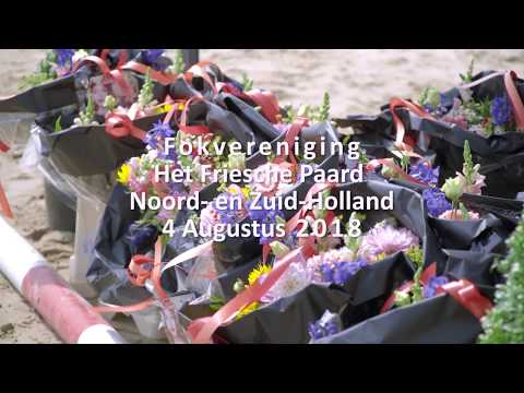 Fokdag &quot;Het Friesche Paard Noord- en Zuid-Holland&quot;