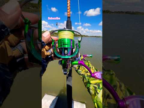 Tips casting a spinning Reel#fishing#fish#tips#shortvideo#shorts#short#viral#viralvideo#shortsfeed