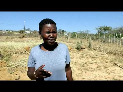 Ungenisile upertric mfwethu, engabe lentokazi ithathekile ngaye? # focus gal focus. Thobeka