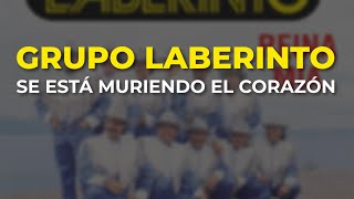 Grupo Laberinto - Se Está Muriendo el Corazón (Audio Oficial)