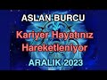 Aslan Burcu Aralık 2023 Aylık Burç Yorumu