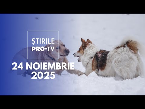 Știrile PRO TV - 24 Noiembrie 2025 | Lege pentru apărarea animalelor