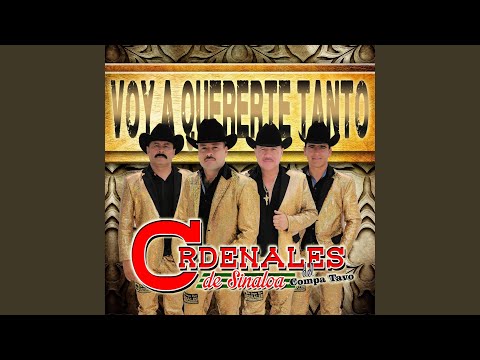 Voy a Quererte Tanto