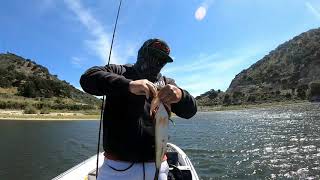 Lopez lake,CA 5/6/20 Duo Realis Kabuki 55sr and Yamamoto 6 grub