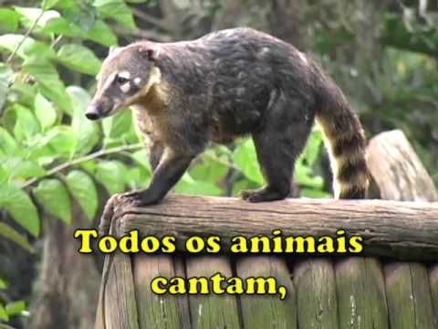 Todos os animais cantam