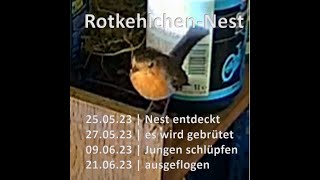 Music video thumbnail preview for Rotkehlchen-Nest im Schuppen - Juni 2023 by Todesstoß