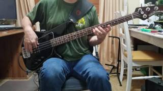Descendents - Feel This Bass Cover