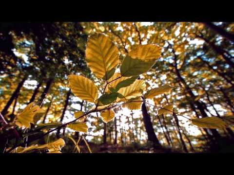 Matt Envy - Love Is The Key