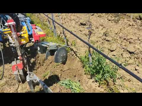 PROVA IN CAMPO CON INTERCEPPO ARRIZZA EXPO SINGOLO R1TOP CON DISCHIERA MOTRICE