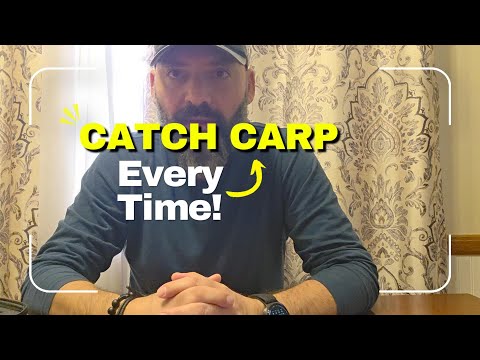 Best Homemade Pack Bait for Carp - Simple Recipe That Catches Monsters