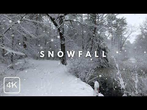 Snowfall in a Magical Forest | 4K Walking in the Winter Snow (Relaxing Crunch Sounds)
