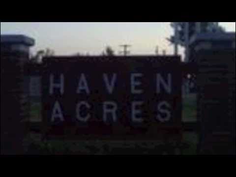 YUNG HOGGZ  ROLL AND BURN