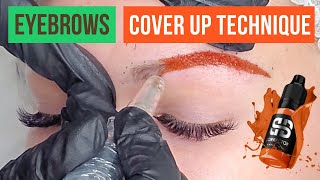 How to correct grey and blue eyebrows. Cover up old PMU eyebrows