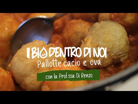 Ricetta Pallotte Cacio e Ova - Il Bio dentro di noi