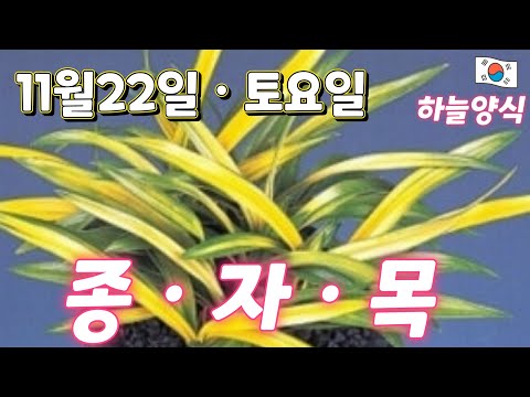 유튜브 썸네일