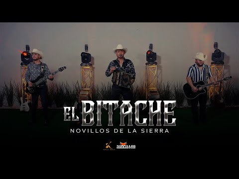 Novillos De La Sierra - El Bitache [En Vivo]