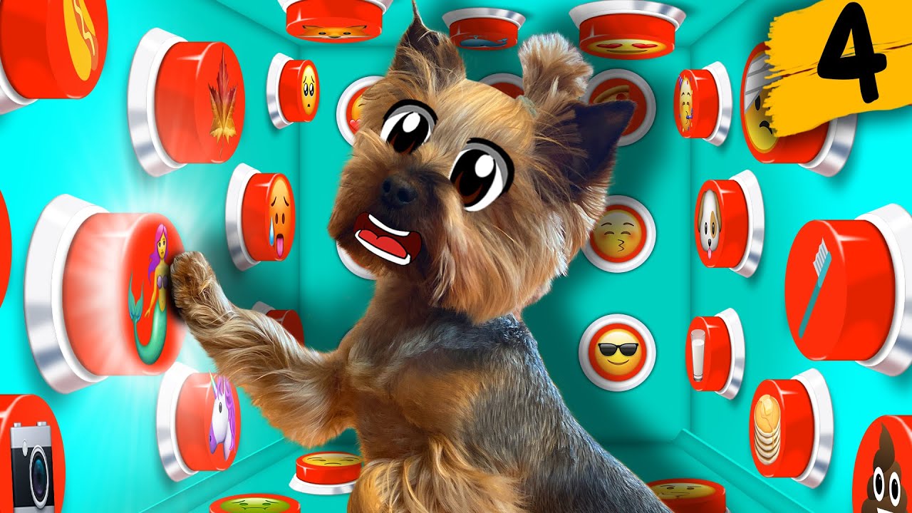 Анука давайка. Анука давайка рисунки. Картинки анука давайка. Анука давайка школа котов. А ну ка давай ка пупся.