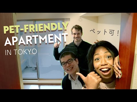 PET-FRIENDLY Apartment Tour in Tokyo: 2 prices & locations [part 2]