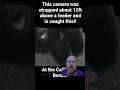 Bigfoot Trail Cam Footage Wkzzrproductions North California Bigfoot