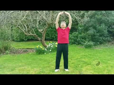 Immunity Strengthening Qigong p1