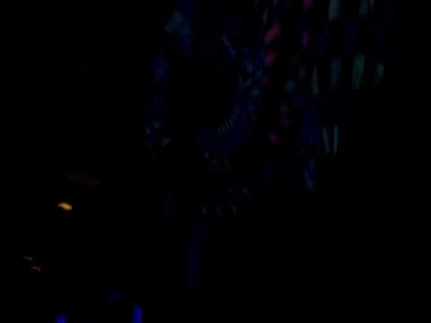 Zirrex @ SPIRIT LIBERATION by Tie-Vote Team