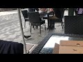 Pizza Pigeons In Almaty Kazakhstan
