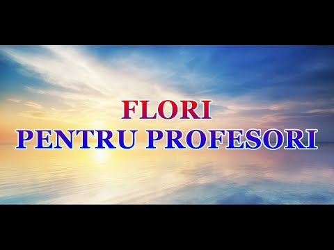 FLORI PENTRU PROFESORI - negativ
