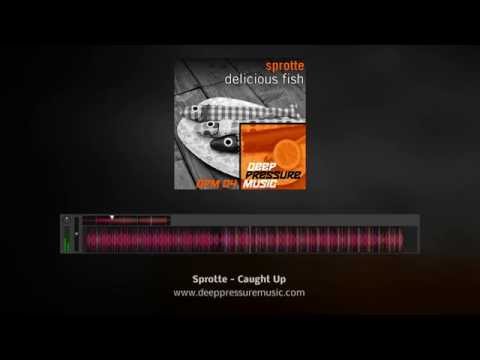 dpm04 - sprotte - caught up