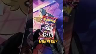 Morpeko zaskoczył? 👀 #pokemon #tcg #destinedrivals  #pokemonkarty #scarletandviloet