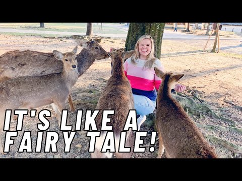 1 Day in Nara, Japan (SO RELAXING!)