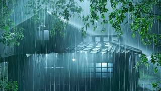 Relieve Fatigue & Sleep Instantly | Night Thunderstorm, Intense Rain on Tin Roof & Powerful Thunder